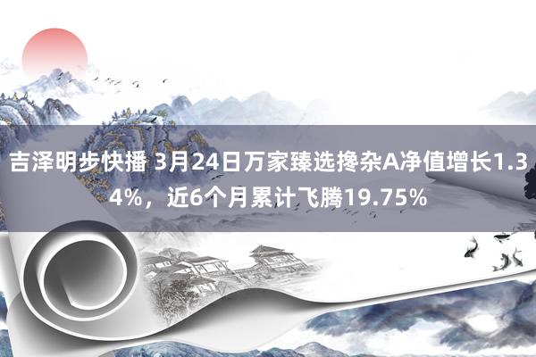 吉泽明步快播 3月24日万家臻选搀杂A净值增长1.34%，近6个月累计飞腾19.75%