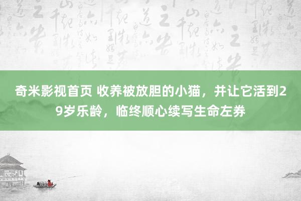 奇米影视首页 收养被放胆的小猫，并让它活到29岁乐龄，临终顺心续写生命左券