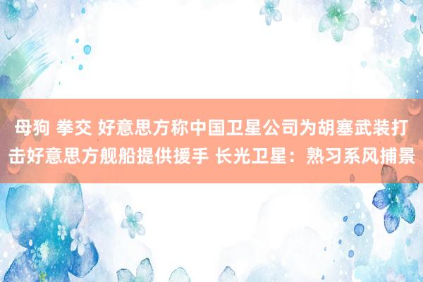 母狗 拳交 好意思方称中国卫星公司为胡塞武装打击好意思方舰船提供援手 长光卫星：熟习系风捕景